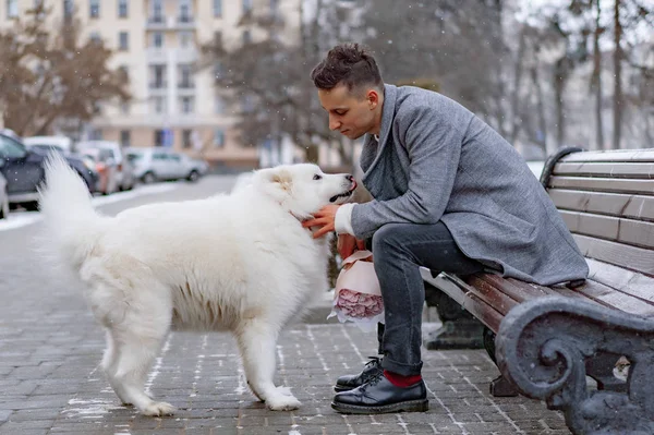 Boy friend with a bouquet of pink flowers hydrangea waiting for his girl friend and walking and playing with a dog. outdoors while snow is falling. Valetnine`s day concept, wedding proposal