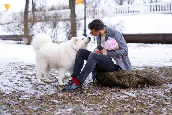 Boy friend with a bouquet of pink flowers hydrangea waiting for his girl friend and walking and playing with a dog. outdoors while snow is falling. Valetnine`s day concept, wedding proposal