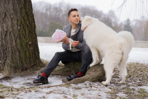 Boy friend with a bouquet of pink flowers hydrangea waiting for his girl friend and walking and playing with a dog. outdoors while snow is falling. Valetnine`s day concept, wedding proposal