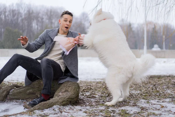 Boy friend with a bouquet of pink flowers hydrangea waiting for his girl friend and walking and playing with a dog. outdoors while snow is falling. Valetnine`s day concept, wedding proposal