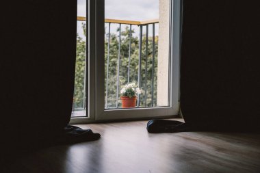 Çiçek saksısında pencere görünümü