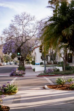 Amerika Birleşik Devletleri Santa Barbara. Santa Barbara sokakları.