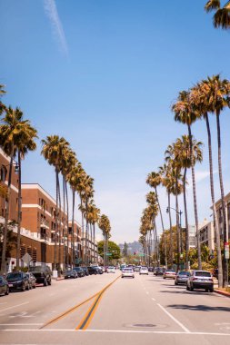ABD, Kaliforniya, Los Angeles sokakları, gökyüzü ve palmiye ağaçları.