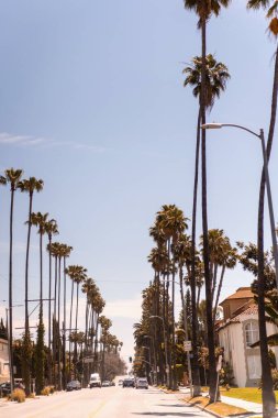 ABD, Kaliforniya, Los Angeles sokakları, gökyüzü ve palmiye ağaçları.