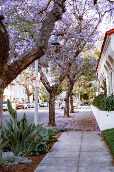 Amerika Birleşik Devletleri Santa Barbara Santa Barbara Sokakları — Stok fotoğraf