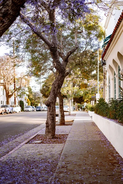 Estados Unidos América Santa Barbara Calles Santa Barbara — Foto de Stock