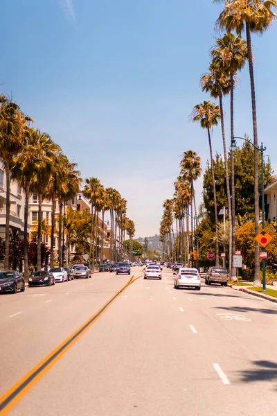 Abd Kaliforniya Los Angeles Sokakları Gökyüzü Palmiye Ağaçları — Stok fotoğraf