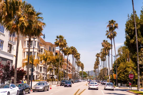 Usa California Los Angeles Streets Sky Palm Trees — Stock Photo, Image