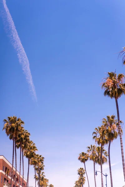 アメリカ カリフォルニア ロサンゼルスの通り 空とヤシの木 — ストック写真