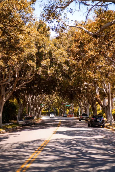 Una Calle Entre Los Árboles Beverly Hills — Foto de Stock