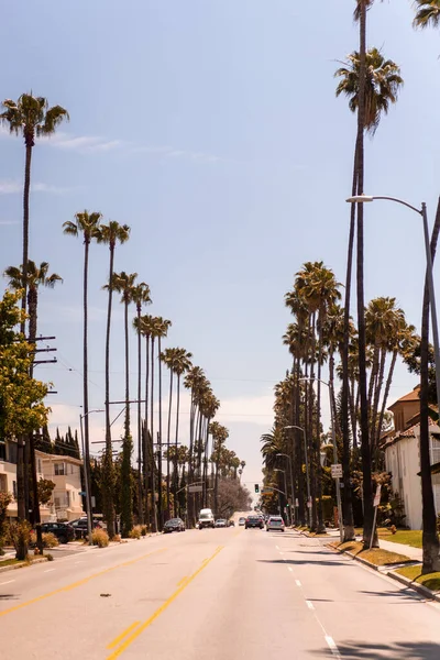 アメリカ カリフォルニア ロサンゼルスの通り 空とヤシの木 — ストック写真