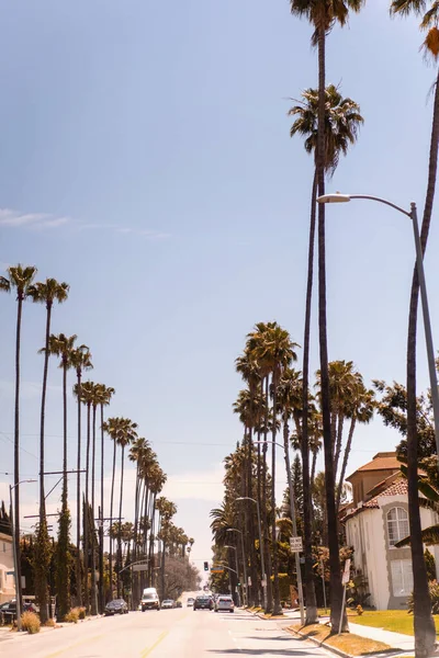 Usa Kalifornie Los Angeles Ulice Nebe Palmy — Stock fotografie