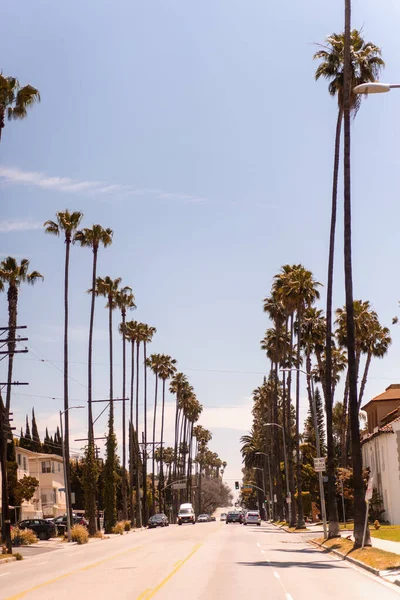 アメリカ カリフォルニア ロサンゼルスの通り 空とヤシの木 — ストック写真