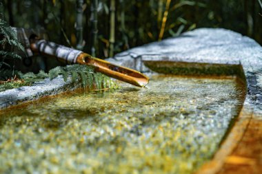 Altın Kapı Parkı 'ndaki Japon Çay Bahçesi.