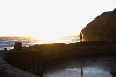 Point Lobos, San Francisco, CA - California Plajları, ABD