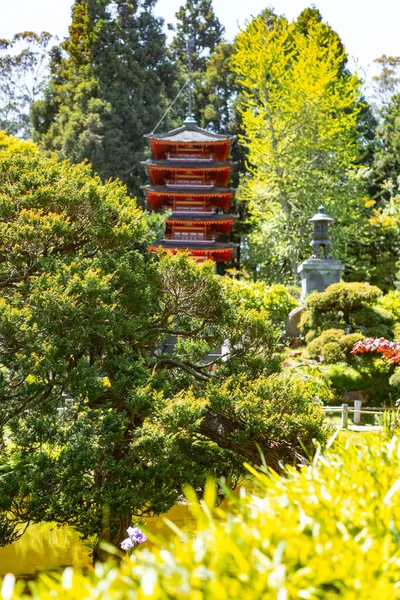 Japoński Ogród Herbaty Golden Gate Park — Zdjęcie stockowe