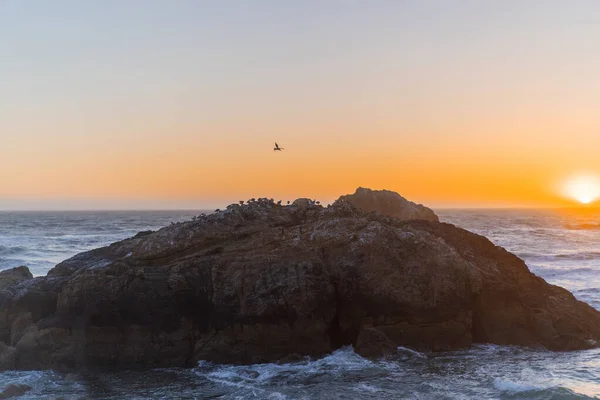 Okyanusta Gün Batımı Point Lobos San Francisco California Plajları Abd — Stok fotoğraf
