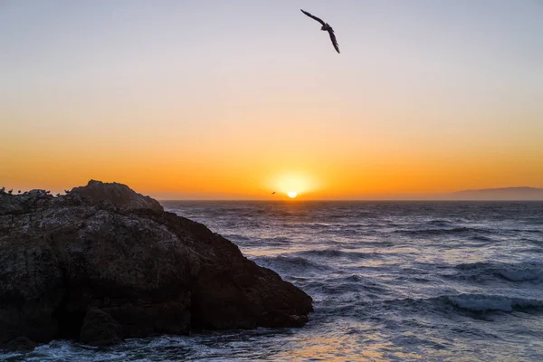 Захід Сонця Океані Point Lobos San Francisco California Beaches Usa — стокове фото