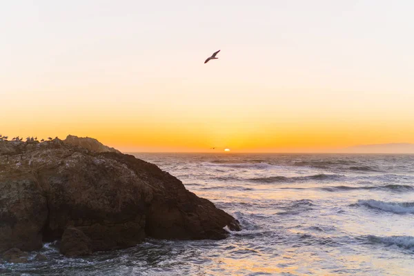 Sunset Ocean Point Lobos San Francisco California Beaches Usa — Stock Photo, Image