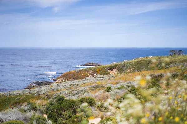 Carmel Highlands Californië Oceaan Natuur Achtergrond — Stockfoto