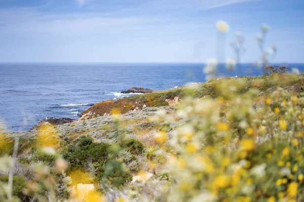 Carmel Highlands Kalifornie Oceán Příroda Pozadí — Stock fotografie