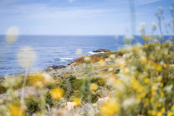 Carmel Highlands California Ocean Nature Background — Stock Photo, Image