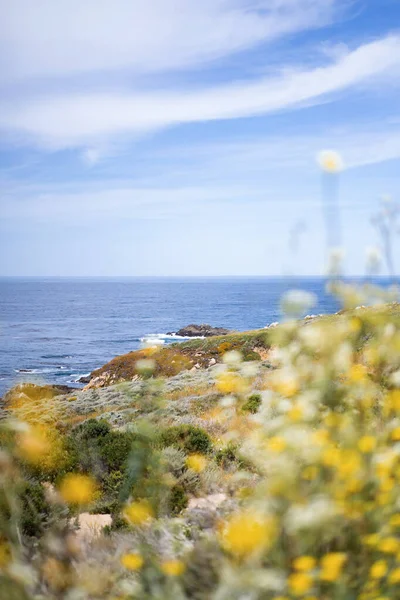 Carmel Highlands California Ocean Fundal Natural — Fotografie, imagine de stoc