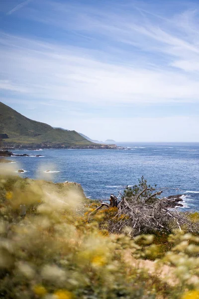 Καρμέλ Χάιλαντς Καλιφόρνια Ωκεανός Και Φύση Φόντο — Φωτογραφία Αρχείου