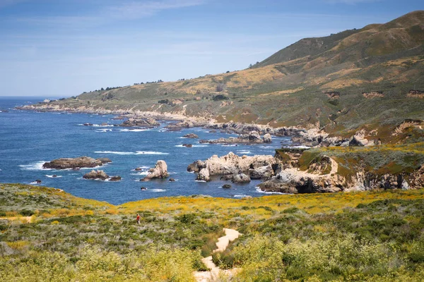 Carmel Highlands Califórnia Oceano Natureza Fundo — Fotografia de Stock