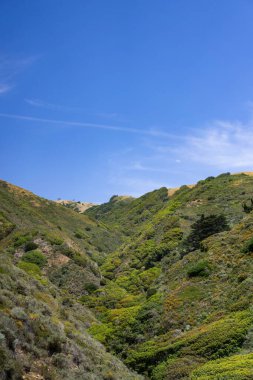 arka plan, Amerika 'da seyahat, doğa ve yollara bakış, Orta Kaliforniya.