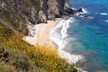 Carmel Highlands, Kaliforniya. Okyanus ve doğa arka planı