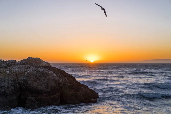 Sunset Ocean Point Lobos San Francisco California Beaches Usa — Stock Photo, Image