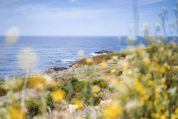 Carmel Highlands California Ocean Fundal Natural — Fotografie, imagine de stoc