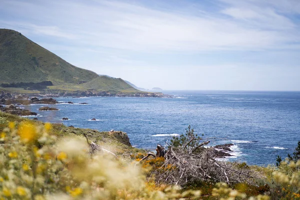 カリフォルニア州カーメル ハイランド 海と自然を背景に — ストック写真