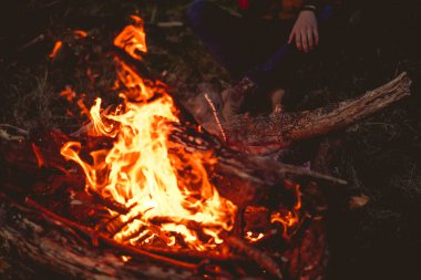 Ormanda şenlik ateşi, gün batımında yürüyüş yaparken yanan şenlik ateşi..