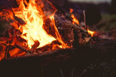 Ormanda şenlik ateşi, gün batımında yürüyüş yaparken yanan şenlik ateşi..