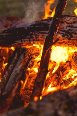 Ormanda şenlik ateşi, gün batımında yürüyüş yaparken yanan şenlik ateşi..