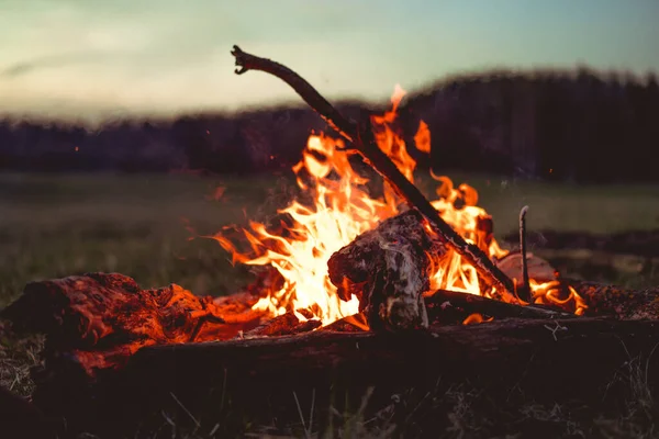 Api Unggun Hutan Api Unggun Terbakar Saat Matahari Terbenam — Stok Foto