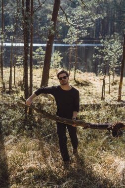 Ormandaki adam ateş için odun ve dal topluyor. Ormanda yürüyüş ve dinlenme kavramı..