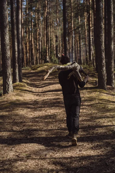 森林里的人为生火收集木柴和树枝 森林中远足和娱乐的概念 — 图库照片
