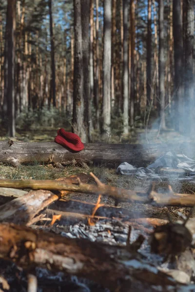 Lagerfeuer Zelten Wald Hintergrund — Stockfoto