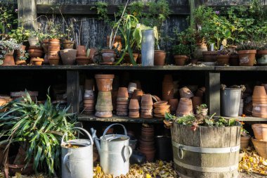 romantik pastoral bitki tablo bahçesinde bulunan eski retro çömlek saksı, araçları ve bitkiler