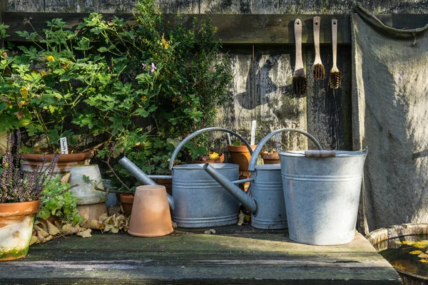 Romantique table de plantes idylliques dans le jardin avec de vieux pots de pot de fleurs rétro, outils et plantes — Photo