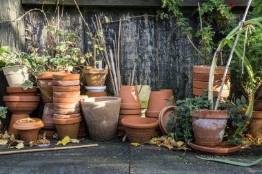 romantik pastoral bitki tablo bahçesinde bulunan eski retro çömlek saksı, araçları ve bitkiler