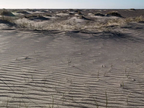 沙丘上的纹理沙滩沙 — 图库照片