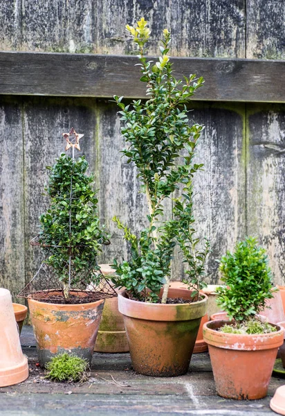 Romantique table de plantes idylliques dans le jardin avec de vieux pots de pot de fleurs rétro, outils et plantes — Photo