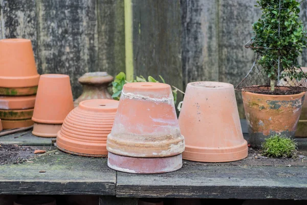 Romantique table de plantes idylliques dans le jardin avec de vieux pots de pot de fleurs rétro, outils et plantes — Photo