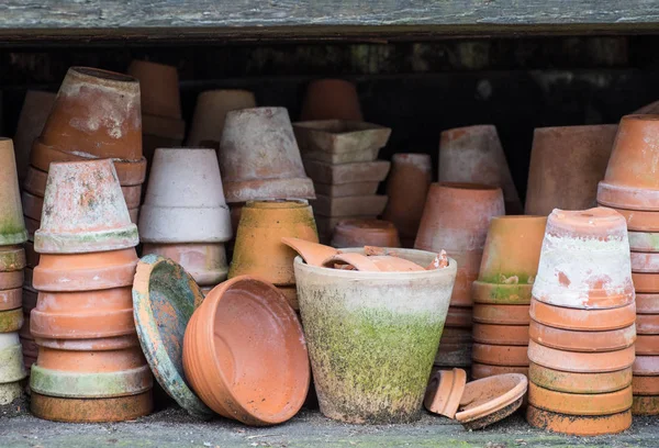 Mesa de planta idílica romântica no jardim com vasos de flor retro velhos, ferramentas e plantas — Fotografia de Stock