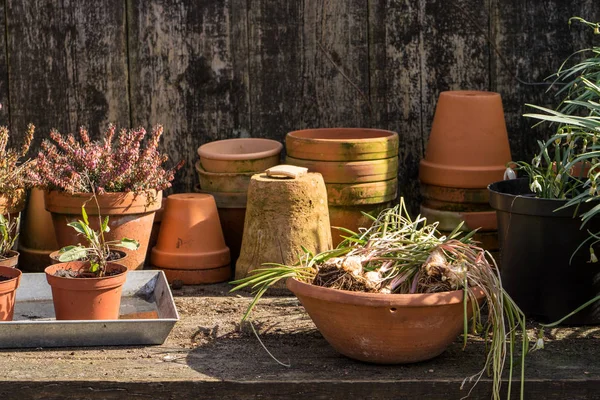 Tabel van de romantische idyllische plant in de tuin met oude retro bloempotten voor pot, Tuingereedschap en planten — Stockfoto