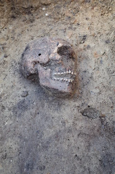 Archäologische Ausgrabung mit Skeletten — Stockfoto